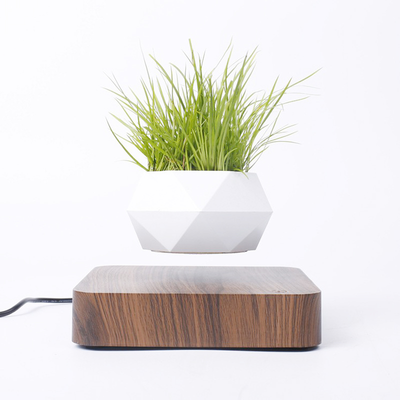 floating plant pot