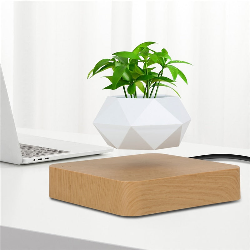 floating plant pot