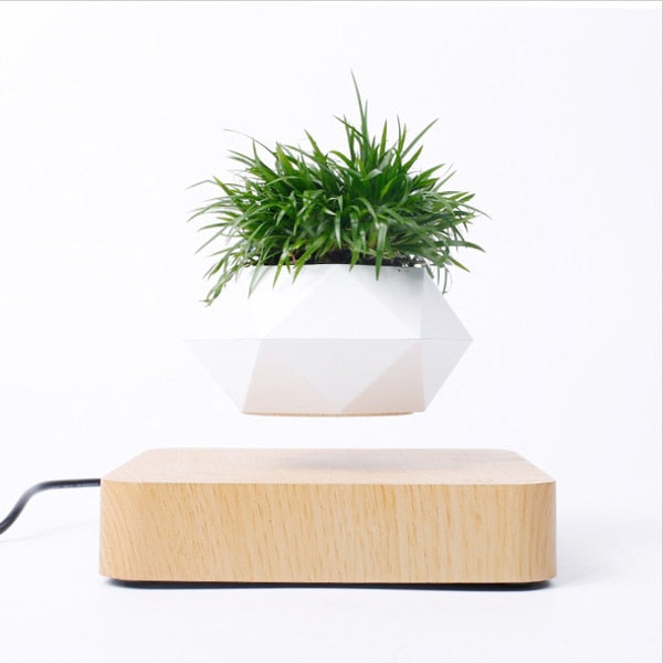 floating plant pot