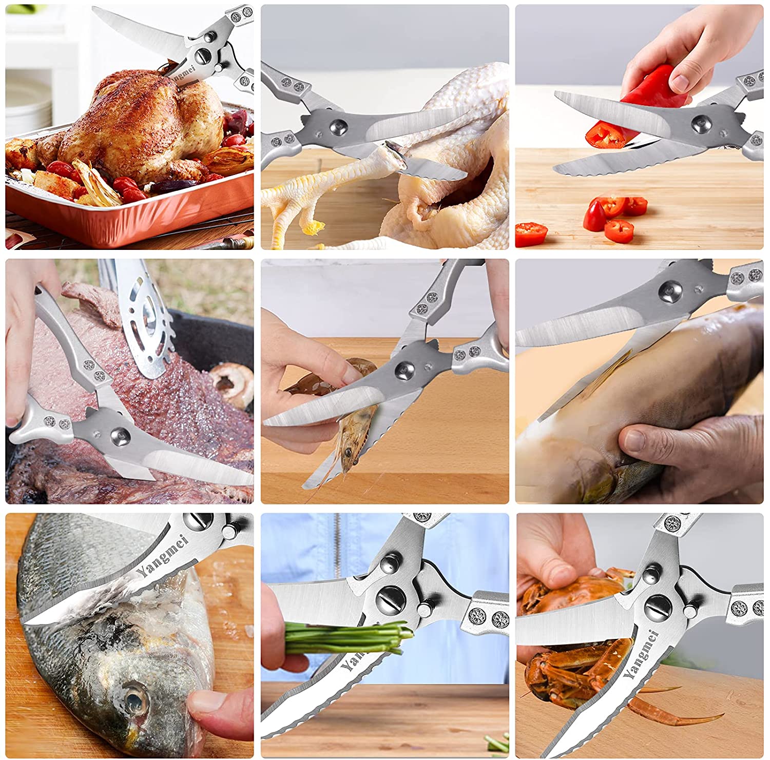 Kitchen Scissors